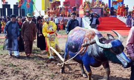 Lễ hội Tịch điền Đọi Sơn diễn ra vào ngày mồng 7 tháng Giêng hàng năm. 