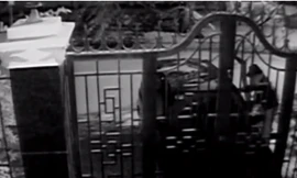 Clip vụ trộm ôtô chứa 400 cây vàng 'hot' nhất tuần qua