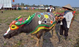 Sáng ngày 13/2 tại cánh đồng thôn Đọi Tín, xã Đọi Sơn, huyện Duy Tiên, tỉnh Hà Nam đã diễn ra hội thi vẽ trang trí trâu lễ hội Tịch điền Đọi Sơn 2016.