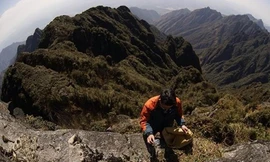 'Tarzan' dọn rác trên đỉnh Fansipan