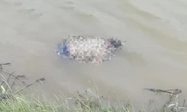 Xác chị N và 2 con nổi trên sông Thương