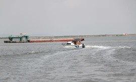 Ảnh minh họa. Ảnh trên Internet