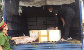 Công an tỉnh Bắc Giang bắt giữ hơn 300 kg thịt lợn không rõ nguồn gốc đưa vào bếp ăn công nhân