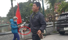 Một người bắt lại cá và rùa phóng sinh ở chùa Trấn Quốc