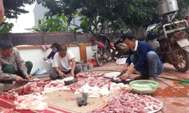 Người dân tưng bừng mổ lợn đón Tết