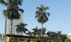 Quán cà phê truyền cảm hứng bảo vệ môi trường