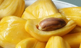 Lợi ích của trái mít đối với sức khỏe