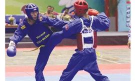 Thành tích dựa vào Vovinam, đá cầu