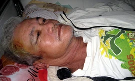 Phó giám đốc Sở Tư pháp Phú Yên cầm cây đánh vào đầu dân