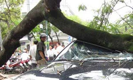 Đền bù tùy vào thiện chí