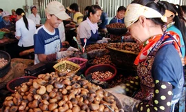 'Mềm dẻo' sẽ không lo thiếu vốn