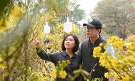 Chợ hoa xuân ở Hà Nội nhộn nhịp ngày 26 Tết