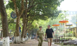 Ngắm những con đường xanh mướt giữa Thủ đô 'giải nhiệt' ngày nắng nóng