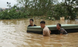 Dân ven sông Hồng hối hả chạy lũ