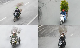 Không khí xuân tràn ngập phố phường, người Hà Nội hối hả 'chở Tết' về nhà