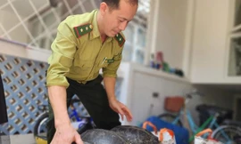 Đến nhà bạn, phát hiện 5 con vật thuộc danh mục nguy cấp quý hiếm 