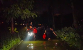 Công viên thành sông sau mưa, người Hà Nội bì bõm bắt cá giữa đêm