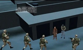 Năm người bị giết trong vụ đột kích tiêu diệt bin Laden