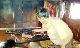 Người dân xã Trà Cang tranh thủ nướng thịt bò chết làm thức ăn dự trữ
