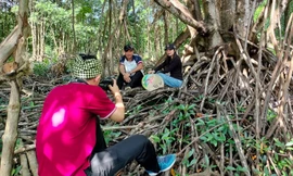 Tò mò mô hình du lịch vuông tôm trong rừng đước