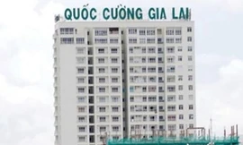 Cổ phiếu nhà Cường 'đô la' gây bất ngờ