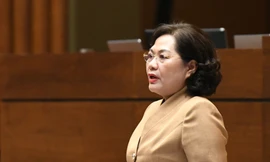 Thống đốc Ngân hàng: 'Cần ngăn chặn việc đứng tên sở hữu hộ'