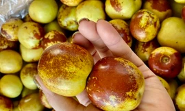 Hoa quả nhập Trung Quốc: ‘Không nên tin những đồn đoán thất thiệt’