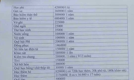 Vụ thu gần 9 triệu đầu năm: Nhiều khoản sai, trường học bị 'tuýt còi' 