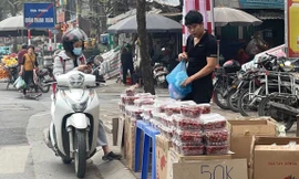 Dâu tây 'rẻ như bèo' tràn ngập Hà Nội