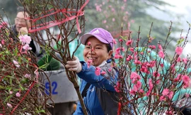 Trình Thủ tướng 2 phương án nghỉ Tết Nguyên đán 