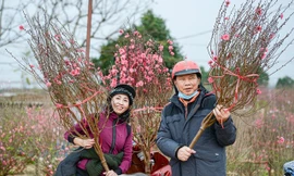 Công bố 7 ngày nghỉ Tết Nguyên đán chính thức