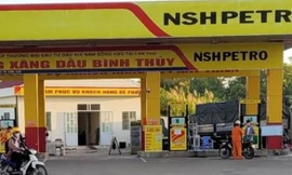 Công ty Cổ phần thương mại Đầu tư dầu khí Nam Sông Hậu đang bị cơ quan thuế áp dụng các biện pháp cưỡng chế nợ thuế.