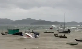 Dành tiền cả năm để đi du lịch thì gặp... bão