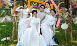 Chen chân check-in 9 cây sưa trăm tuổi vừa được công nhận di sản Việt Nam