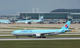 Lý do nhiều hãng bay nước ngoài đến/đi từ Việt Nam bị phạt 