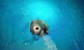 Máy bay bị sét đánh thủng vỏ, 2 người phải cấp cứu