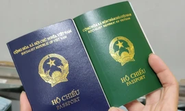 Một nữ giám đốc bị hoãn xuất cảnh, lộ diện nhiều doanh nghiệp nợ thuế 