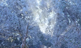 Băng tuyết bất ngờ phủ trắng đỉnh Tà Xùa