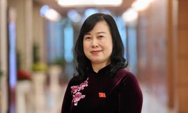 Bà Đào Hồng Lan bộc bạch việc 'người ngoài ngành' làm Bộ trưởng Y tế 