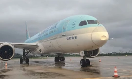 Máy bay hạ cánh Đà Nẵng bị móp đầu 