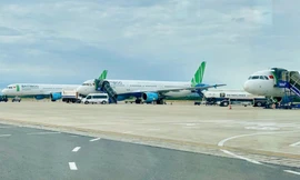 Chủ tịch Bamboo Airways xin từ nhiệm