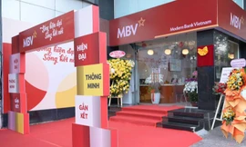 Ngân hàng chuyển giao bắt buộc: 5-7 năm xóa nợ, 7-10 năm mới phục hồi 