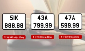 11 biển số ô tô được trả giá gần 80 tỷ đồng 