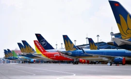 Giá thuê tàu cao ngất ngưởng, các hãng 'càng bay càng lỗ'