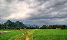 Bộ Nông nghiệp lưu ý về 115 ha đất lúa xin chuyển xây biệt thự ở Hòa Bình