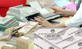 Trái chủ điêu đứng, doanh nghiệp mặc kệ