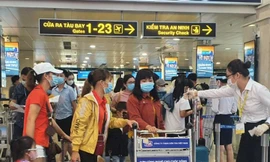 Giá vé máy bay đột ngột giảm: Cục chờ báo cáo, hãng từ chối bình luận