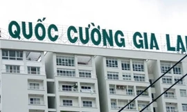 Đình chỉ các kiểm toán viên ký báo cáo tài chính cho Quốc Cường Gia Lai