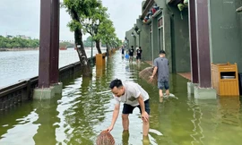 Du khách đổ xô đến phố cổ Hoa Lư... bắt cá