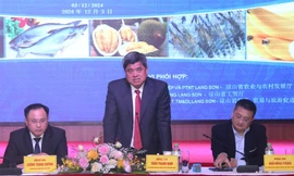 Thứ trưởng Trần Thanh Nam tham gia ý kiến tại Diễn đàn (ảnh: Duy Chiến)